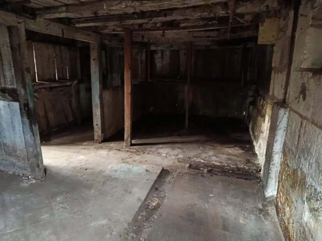 grange apres - Débarras de Maison Dark, abandoned basement with wooden support beams and damp concrete walls; dim light filtering in from the left.